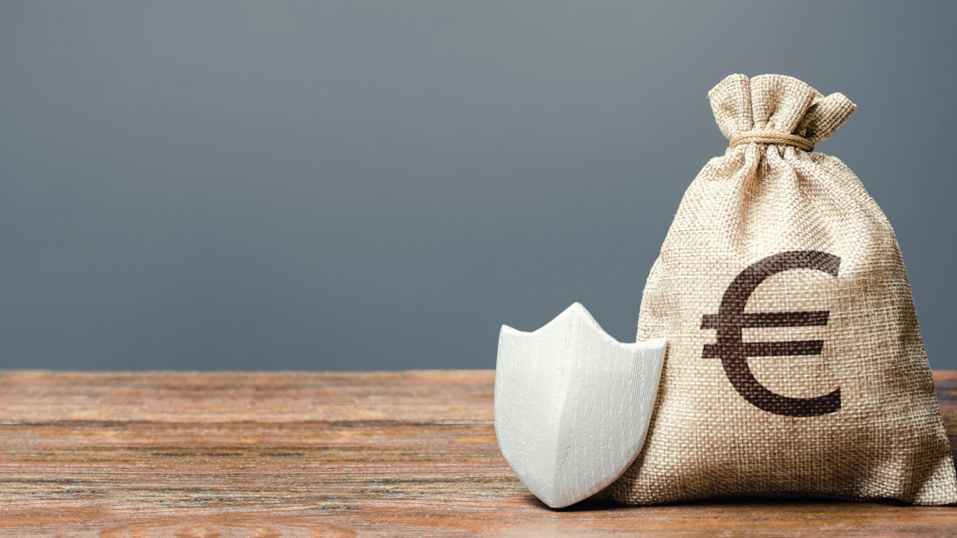 Euro money bag and metal shield. Ease doing business. Guaranteed protection of foreign investment in economy. Attractive business conditions, rule of law, secure capital. Currency resistance to shocks